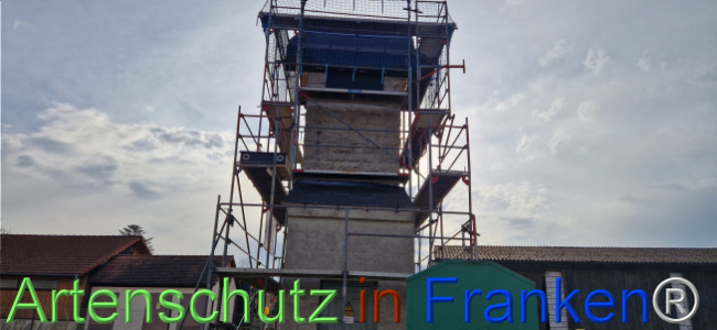 Bild zum Eintrag (1119640-160)