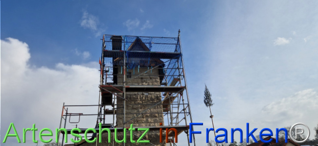 Bild zum Eintrag (1119641-160)