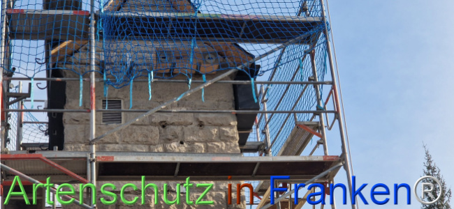 Bild zum Eintrag (1119642-160)
