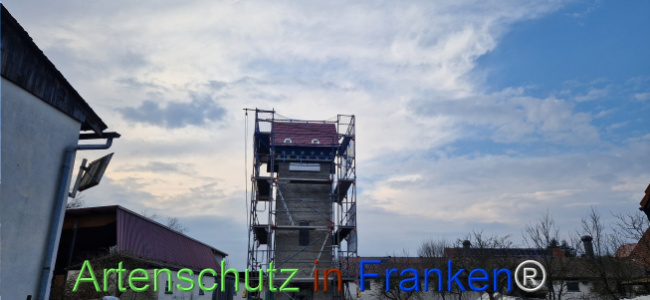 © Artenschutz in Franken® Bild zum Eintrag (1119713-160)