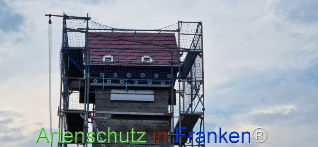 © Artenschutz in Franken® Bild zum Eintrag (1119714-160)