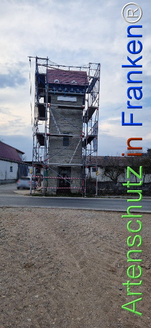 © Artenschutz in Franken® Bild zum Eintrag (1119715-160)