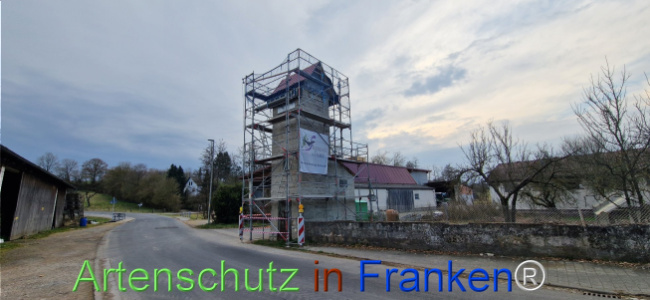 © Artenschutz in Franken® Bild zum Eintrag (1119717-160)