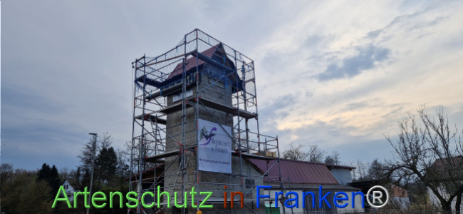 © Artenschutz in Franken® Bild zum Eintrag (1119718-160)