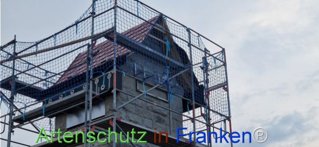© Artenschutz in Franken® Bild zum Eintrag (1119719-160)