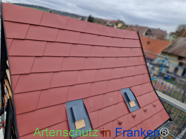 © Artenschutz in Franken® Bild zum Eintrag (1119732-160)
