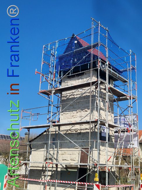 Bild zum Eintrag (1119793-160)
