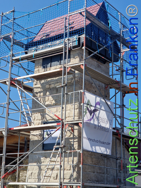 Bild zum Eintrag (1119794-160)