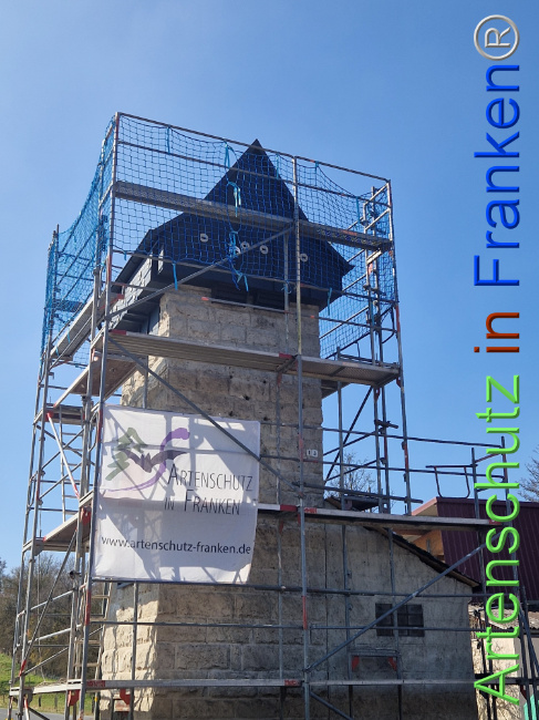 Bild zum Eintrag (1119795-160)