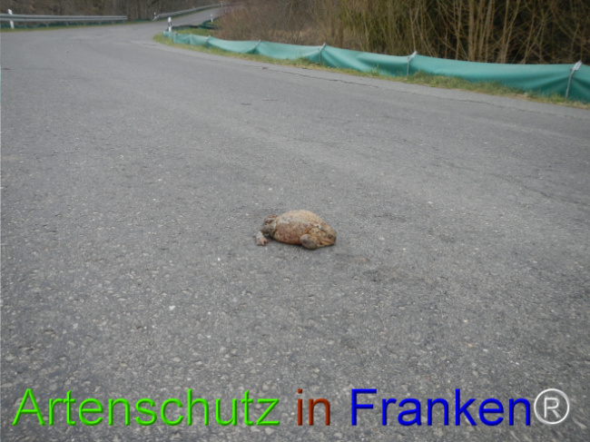 Bild zum Eintrag (1119850-160)