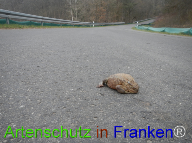 Bild zum Eintrag (1119853-160)