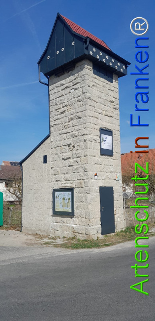 © Artenschutz in Franken® Bild zum Eintrag (1120047-160)