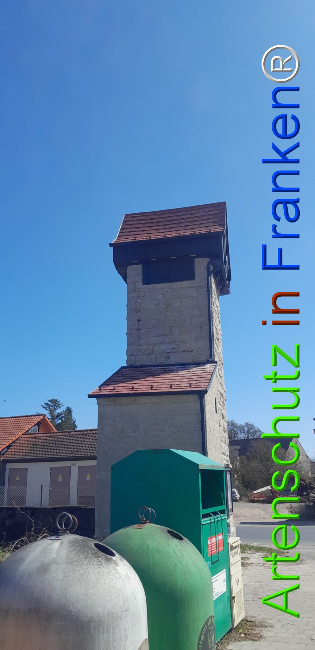 © Artenschutz in Franken® Bild zum Eintrag (1120050-160)