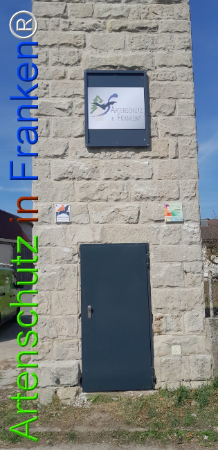 © Artenschutz in Franken® Bild zum Eintrag (1120052-160)