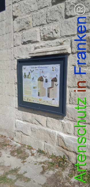 © Artenschutz in Franken® Bild zum Eintrag (1120053-160)