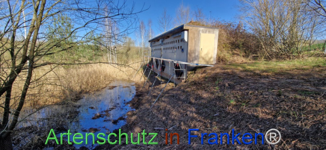 © Artenschutz in Franken® Bild zum Eintrag (1120075-160)