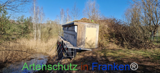 © Artenschutz in Franken® Bild zum Eintrag (1120076-160)