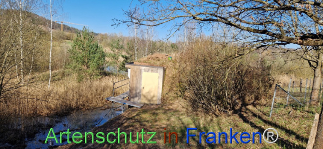 © Artenschutz in Franken® Bild zum Eintrag (1120077-160)