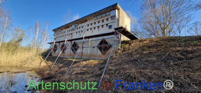 © Artenschutz in Franken® Bild zum Eintrag (1120080-160)