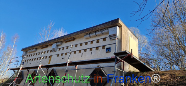 © Artenschutz in Franken® Bild zum Eintrag (1120082-160)