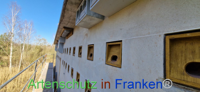 © Artenschutz in Franken® Bild zum Eintrag (1120085-160)