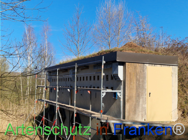 © Artenschutz in Franken® Bild zum Eintrag (1120202-160)