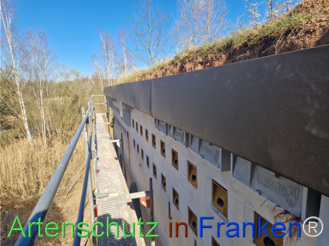 © Artenschutz in Franken® Bild zum Eintrag (1120207-160)