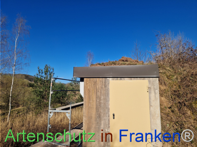 © Artenschutz in Franken® Bild zum Eintrag (1120212-160)