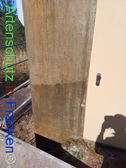 © Artenschutz in Franken® Bild zum Eintrag (1120265-160)