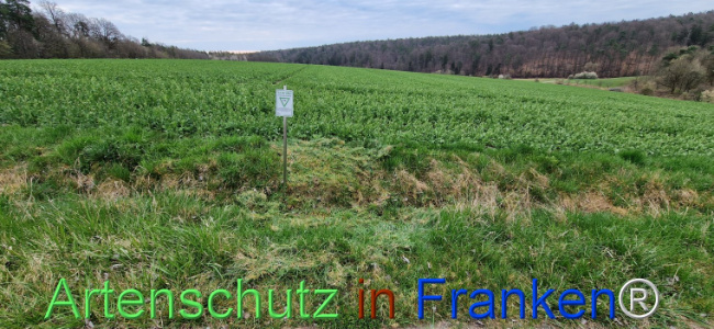 © Artenschutz in Franken® Bild zum Eintrag (1120301-160)