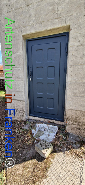 © Artenschutz in Franken® Bild zum Eintrag (1120343-160)