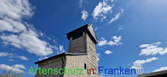 Bild zum Eintrag (1120352-160)