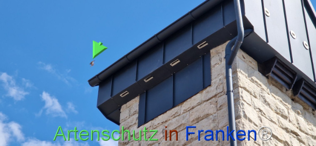 Bild zum Eintrag (1120353-160)