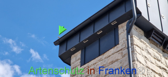 Bild zum Eintrag (1120354-160)
