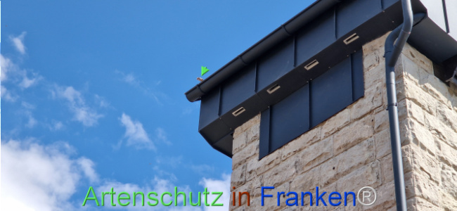 Bild zum Eintrag (1120355-160)