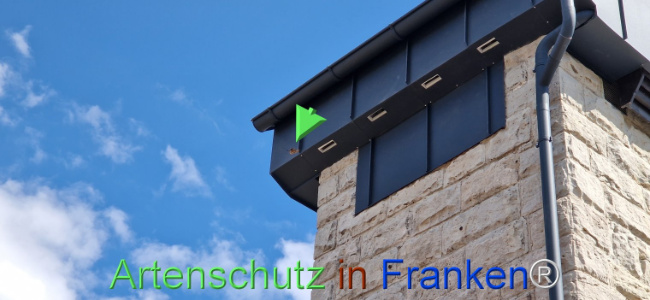 © Artenschutz in Franken® Bild zum Eintrag (1120357-160)
