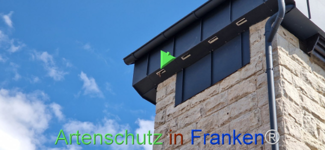 © Artenschutz in Franken® Bild zum Eintrag (1120358-160)
