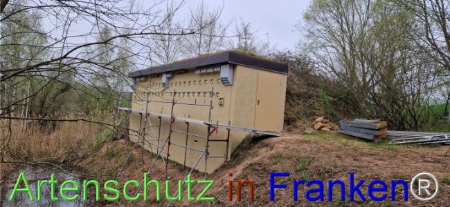 © Artenschutz in Franken® Bild zum Eintrag (1120696-160)