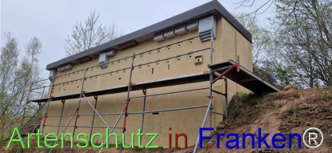© Artenschutz in Franken® Bild zum Eintrag (1120697-160)