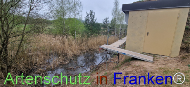 © Artenschutz in Franken® Bild zum Eintrag (1120700-160)