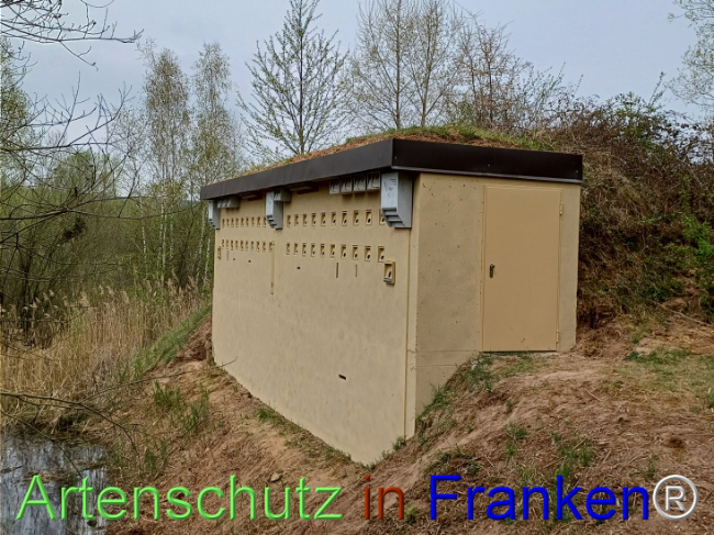 © Artenschutz in Franken® Bild zum Eintrag (1120717-160)