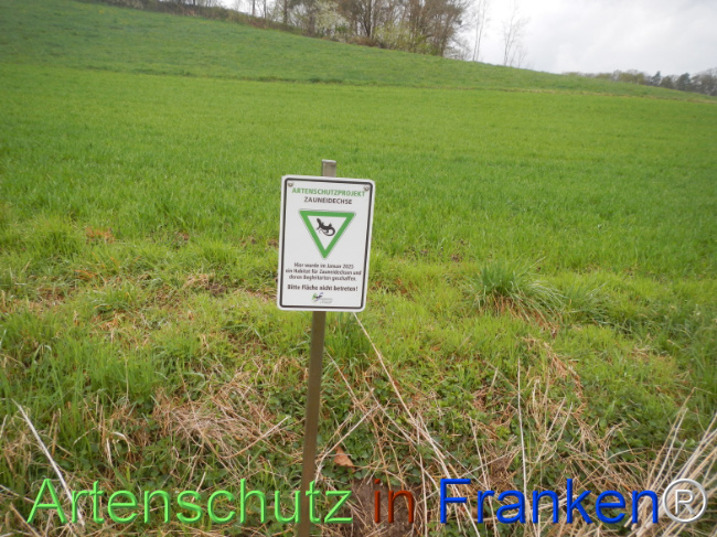 © Artenschutz in Franken® Bild zum Eintrag (1120800-160)
