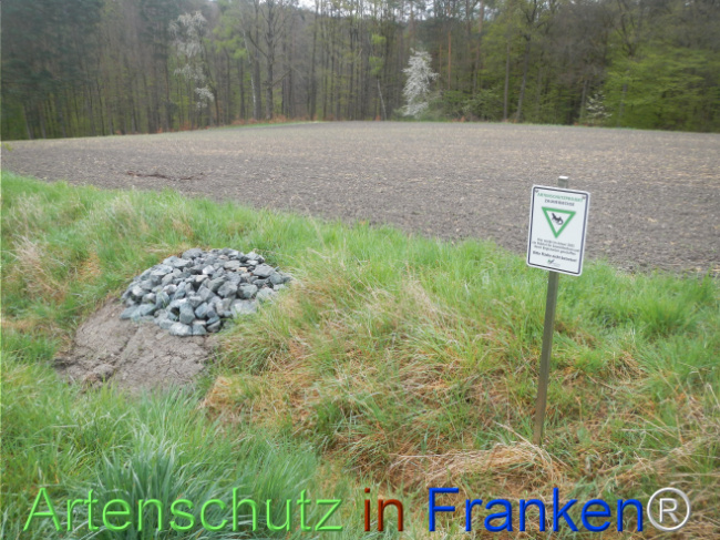 © Artenschutz in Franken® Bild zum Eintrag (1120804-160)