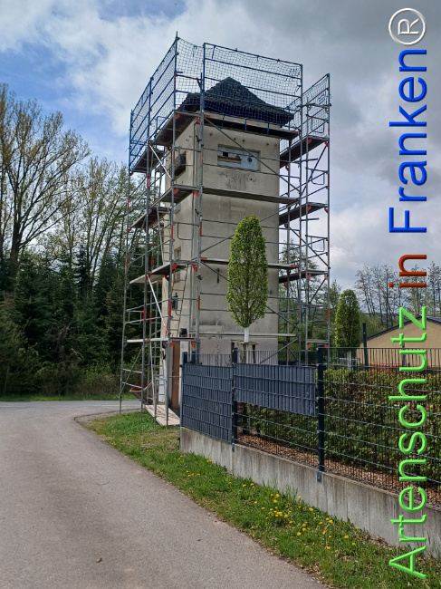 © Artenschutz in Franken® Bild zum Eintrag (1120909-160)