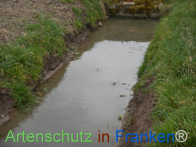 Bild zum Eintrag (1120925-160)
