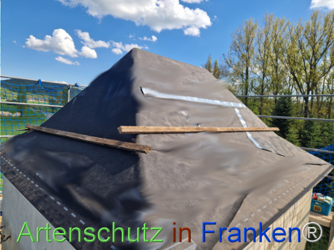 © Artenschutz in Franken® Bild zum Eintrag (1120987-160)
