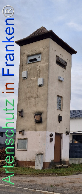 © Artenschutz in Franken® Bild zum Eintrag (1120989-160)