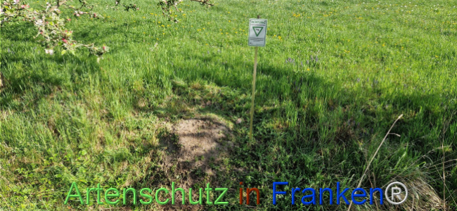 © Artenschutz in Franken® Bild zum Eintrag (1121214-160)