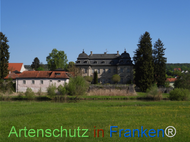 © Artenschutz in Franken® Bild zum Eintrag (1121433-160)