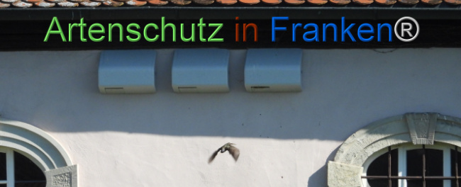 © Artenschutz in Franken® Bild zum Eintrag (1121463-160)